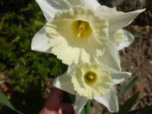 Fabiána — 22. dubna 2012