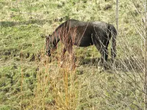 Lanková — 22. dubna 2012