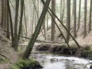 Lanková — 22. dubna 2012