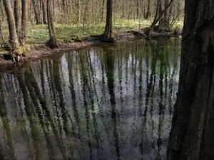 Lanková — 22. dubna 2012