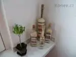 Bonsai a lahve