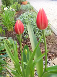 Magdalenka73 — 29. dubna 2012