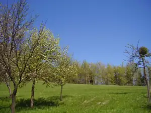 Nadherně modre nebe