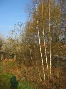 sud — 1. května 2012