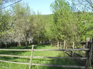 Magdalenka73 — 6. května 2012