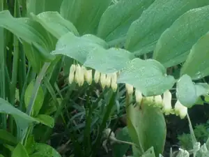 kyti5 — 8. května 2012