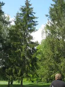 sud — 8. května 2012