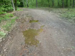 místy bylo mokro až dost