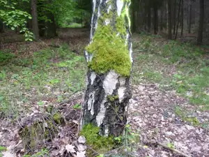 kyti5 — 9. května 2012