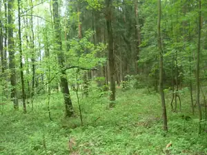 kyti5 — 9. května 2012