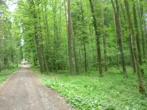 počkéééééééj přeci vidíš že fotím a nemohu jít rychle