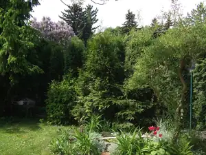 iris66 — 11. května 2012