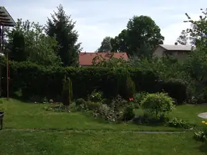 iris66 — 11. května 2012