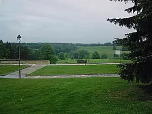 iris66 — 12. května 2012