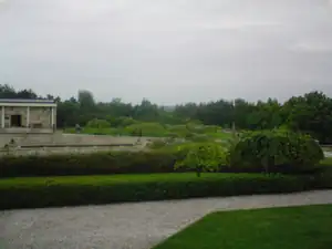 iris66 — 12. května 2012