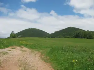 Nedělní procházka ..