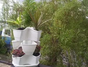 buliznik — 15. května 2012