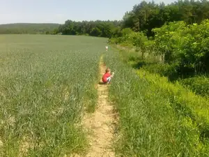Poznávání léčivek 🙂