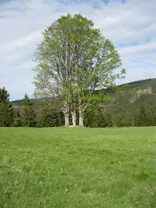 sud — 21. května 2012