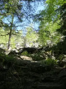 sud — 21. května 2012