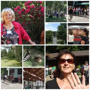 iris66 — 26. května 2012