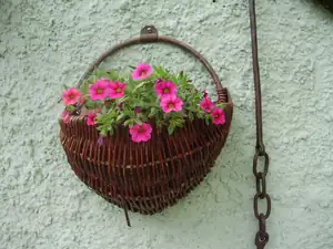muškatek — 27. května 2012