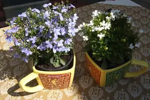 iris66 — 28. května 2012