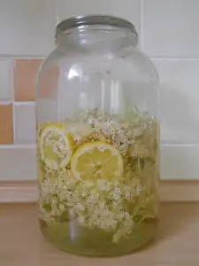 Na bezinkový sirup je zaděláno
