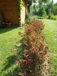 ludmila60 — 30. května 2012