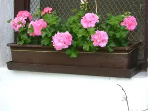 Georgina68 — 13. června 2012