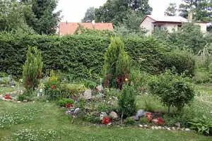 iris66 — 18. června 2012
