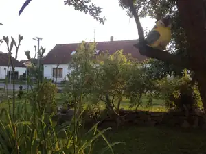 Přežraná síkorka si už také našla své místo :)