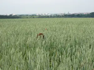 sud — 20. června 2012