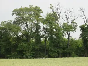 sud — 20. června 2012