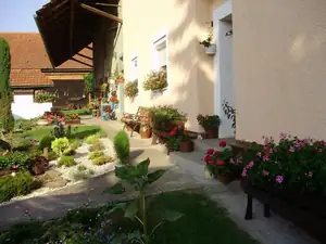 muškatek — 21. června 2012