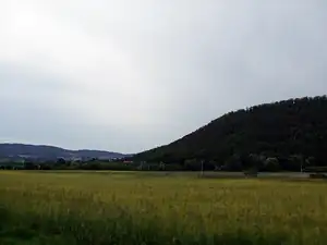 iris66 — 24. června 2012