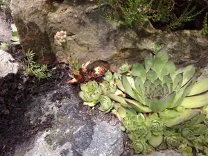 jandulinkah — 26. června 2012