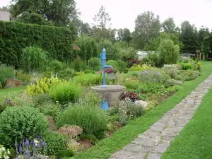 muškatek — 27. června 2012