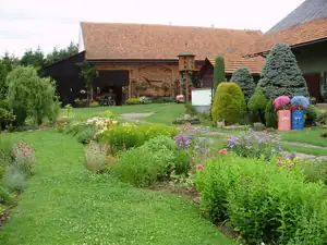 muškatek — 27. června 2012
