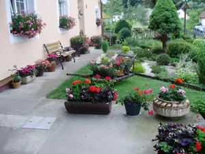 muškatek — 27. června 2012