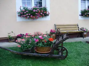 muškatek — 27. června 2012