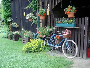 muškatek — 27. června 2012