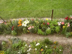 Maariee — 1. července 2012