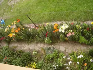 moje plantaž 🙂))