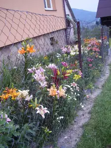 Maariee — 4. července 2012