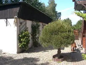sud — 8. června 2010