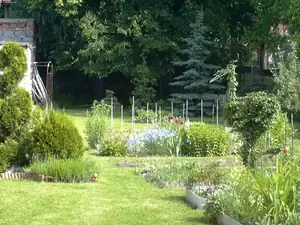 sud — 8. června 2010