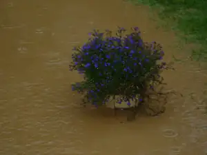 Voda se zem
