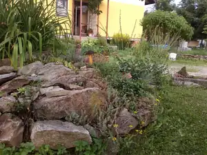 jandulinkah — 9. července 2012