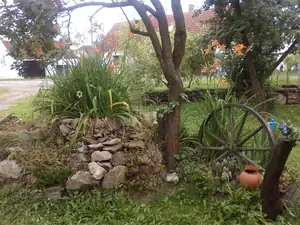 jandulinkah — 9. července 2012